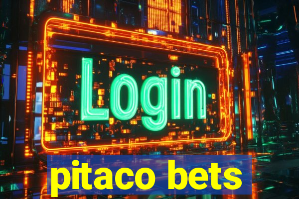 pitaco bets